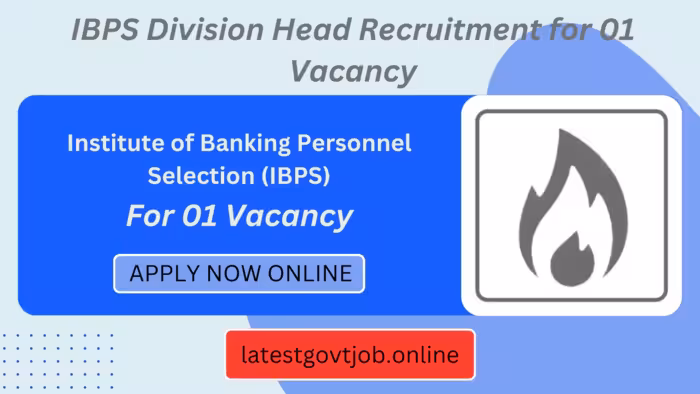 IBPS Division Head Recruitment for 01 Vacancy